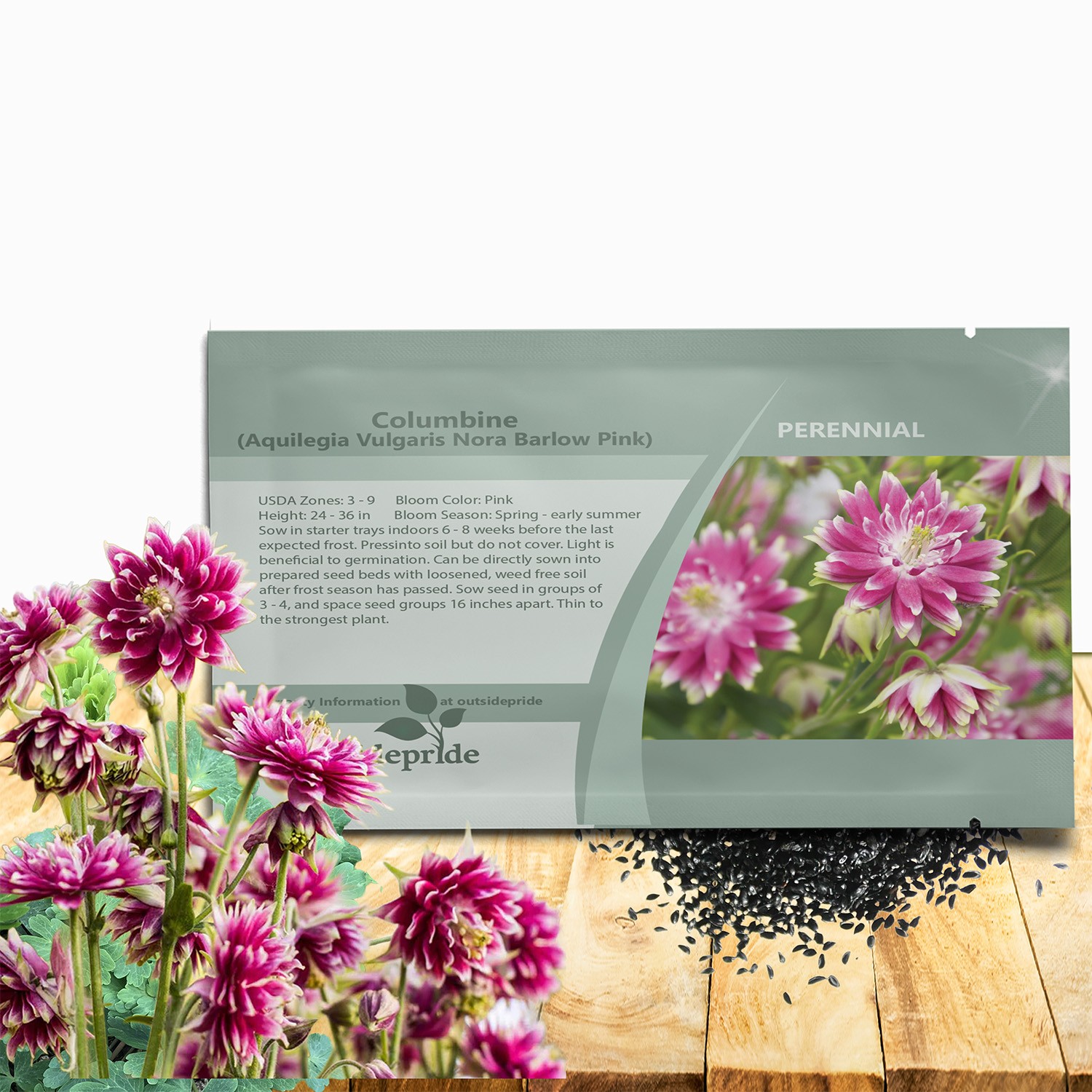 1000 Seeds Columbine Seed – Aquilegia Vulgaris Nora Barlow Flower Seeds