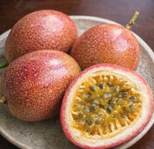 2-Purple Passion Fruit /Passiflora Edulis Live Plants 8″ Tall Had Fully Roots