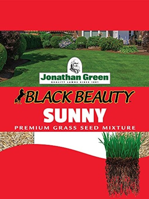 Jonathan Green Full Sun Grass Seed, 3-Pound