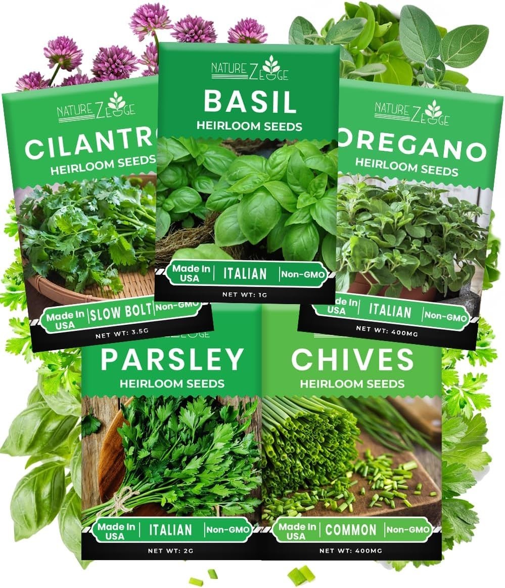 5 Herb Seeds Kit: Oregano, Basil, Cilantro for Indoor/Outdoor Gardens