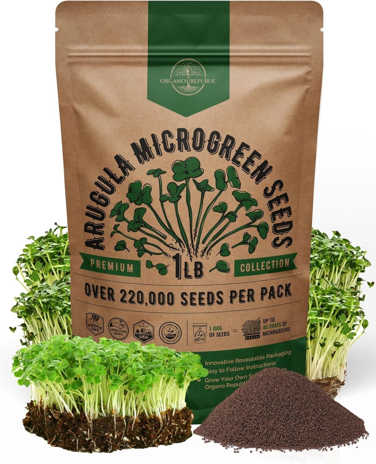 Arugula Sprouting Seeds 1lb Non GMO Heirloom High Germination Rate Fresh Greens