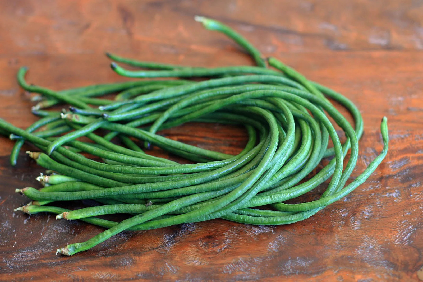 Yu Long Yard Long Bean Seeds | USA Asian Asparagus Chinese Green Beans Seed 2024
