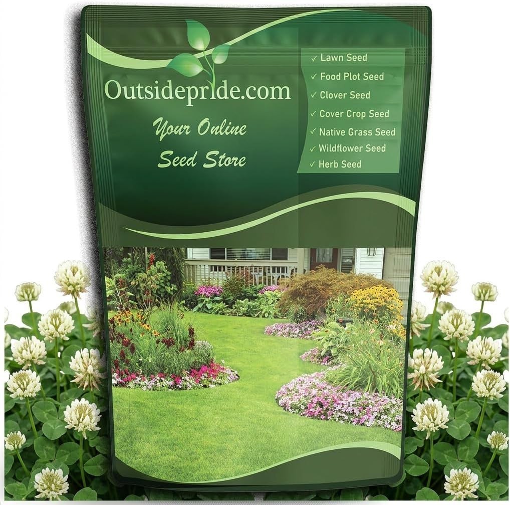 2 Lbs White Dutch Clover Seed For Sustainable Landscaping and Soil Health