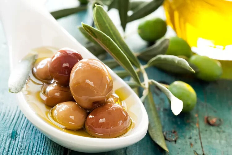 10+ Arbequina Spanish Olive Seeds for Garden Planting – USA – FAST SHIPPING!