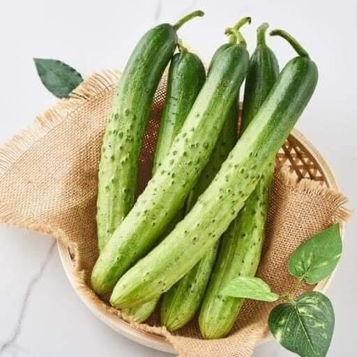 10+ seeds Korean Asian White /Green Sweet Crispy Cucumber Dua Leo Nep Han Quoc