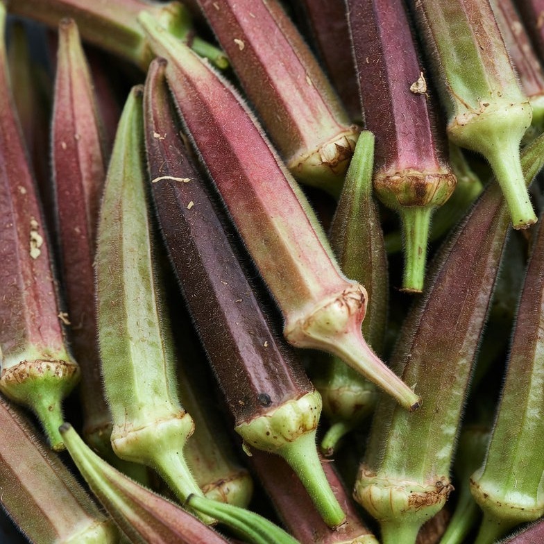 Okra Seeds – Red Burgundy: Non-GMO, Heirloom Vegetable Garden Seeds