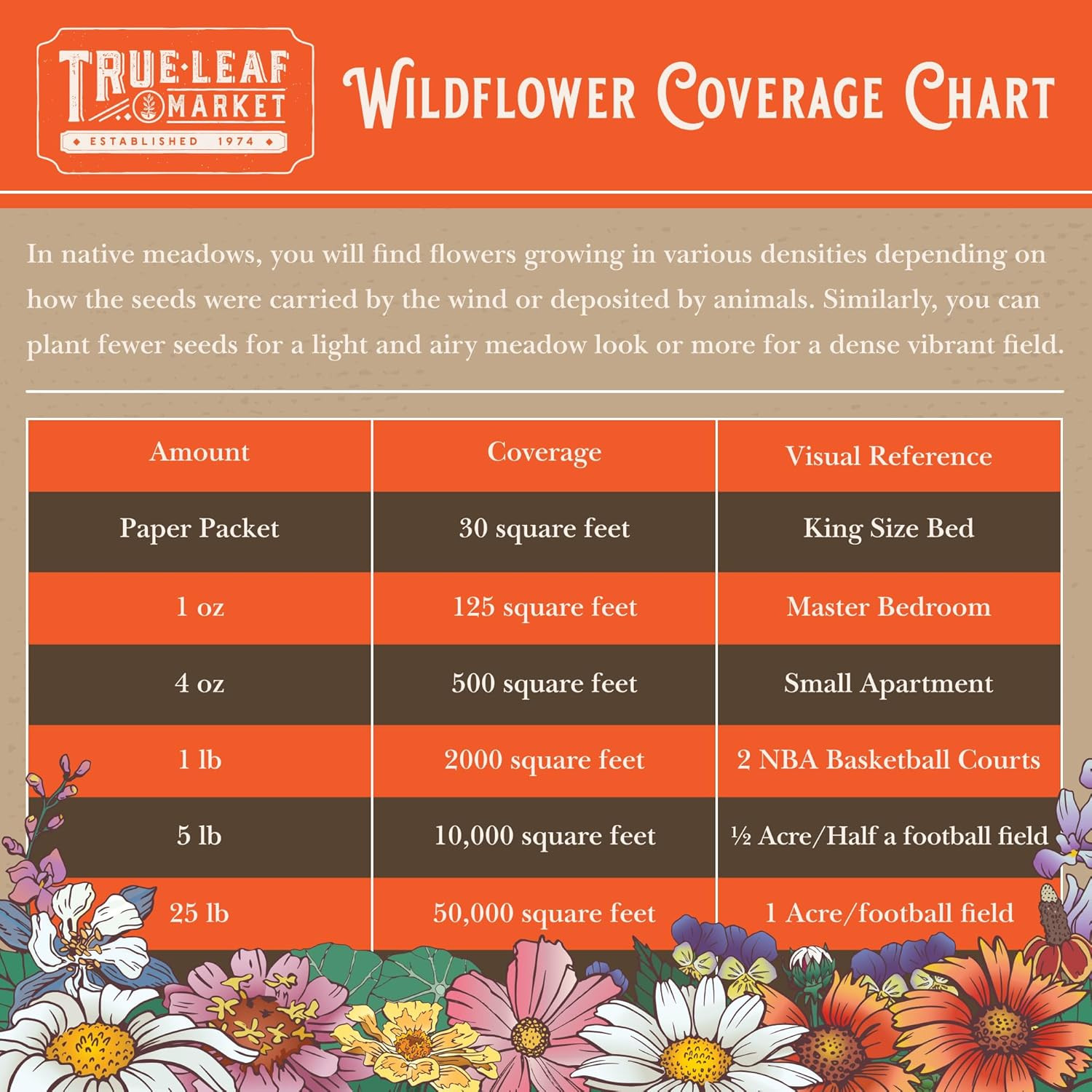 Wildflower Seeds Bulk, Oz. 80,000+ Seeds – save the Bees Mix with 19 Non-Gmo Va