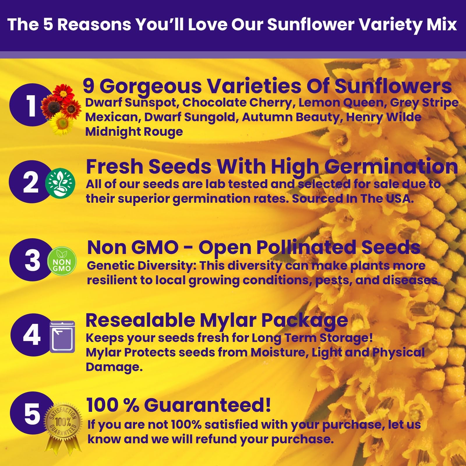 1300+ Sunflower Seeds Garden Variety Pack Mammoth Dwarf Lemon Queen More