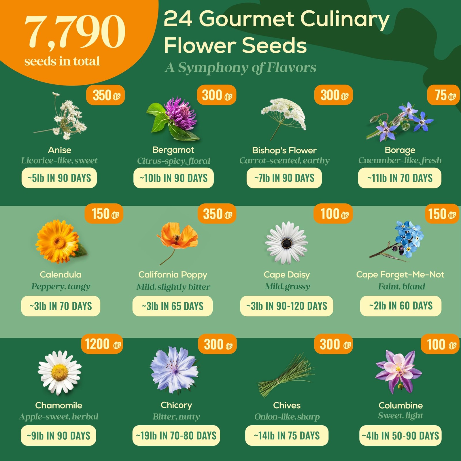 24 Gourmet Culinary Flower Seeds Variety Pack – 7,790+ Non-GMO Heirloom Flowe…