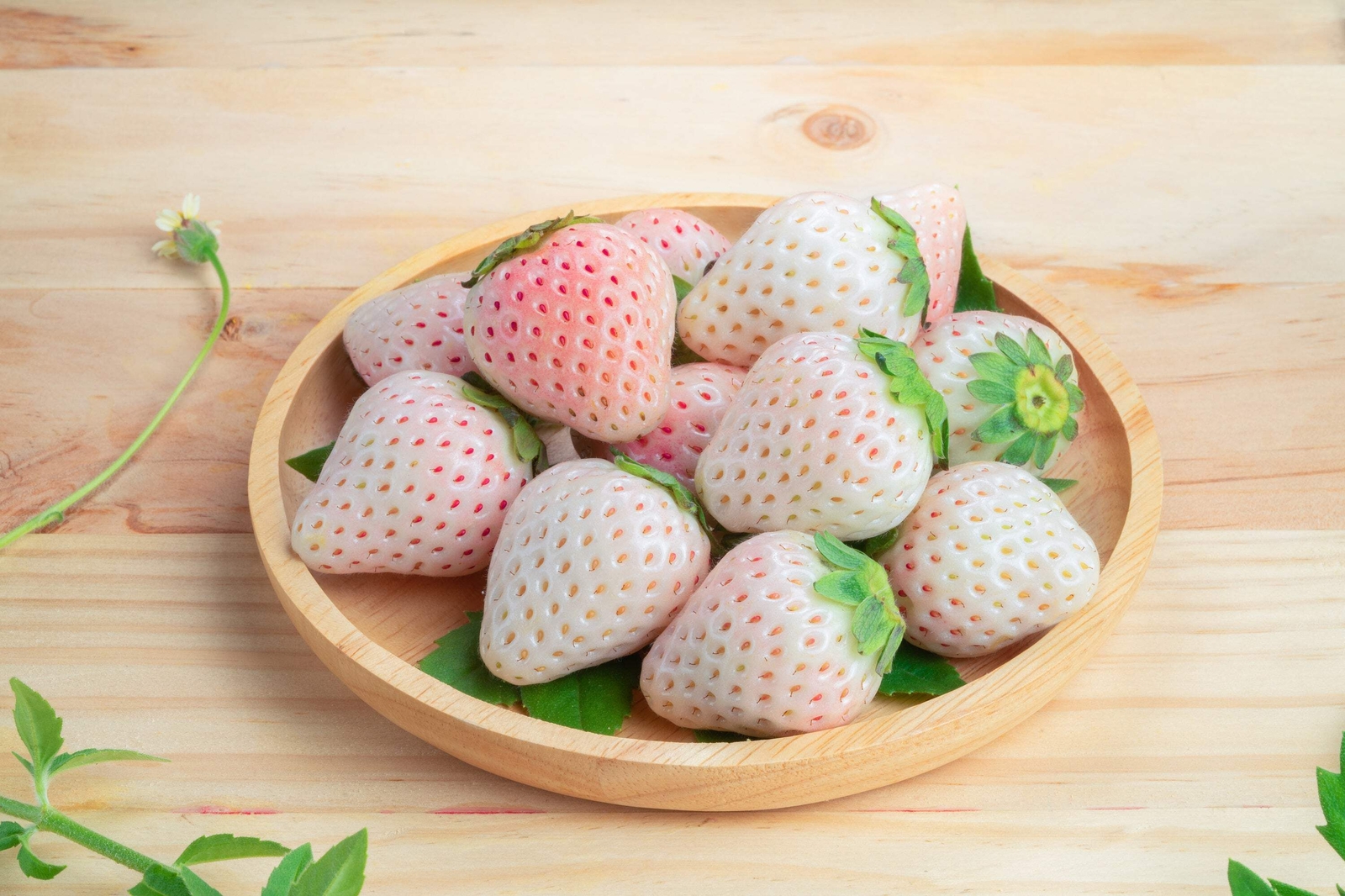 100 WHITE SOUL STRAWBERRY Fragaria Vesca Fruit Flower Berry Seeds *Comb S/H