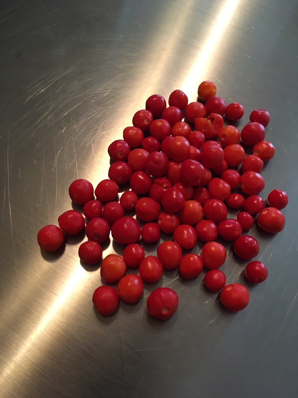 15 WIRI WIRI PEPPER SEEDS ULTRA RARE HOT 2023 – HARD TO FIND – NICE PLANTS !!