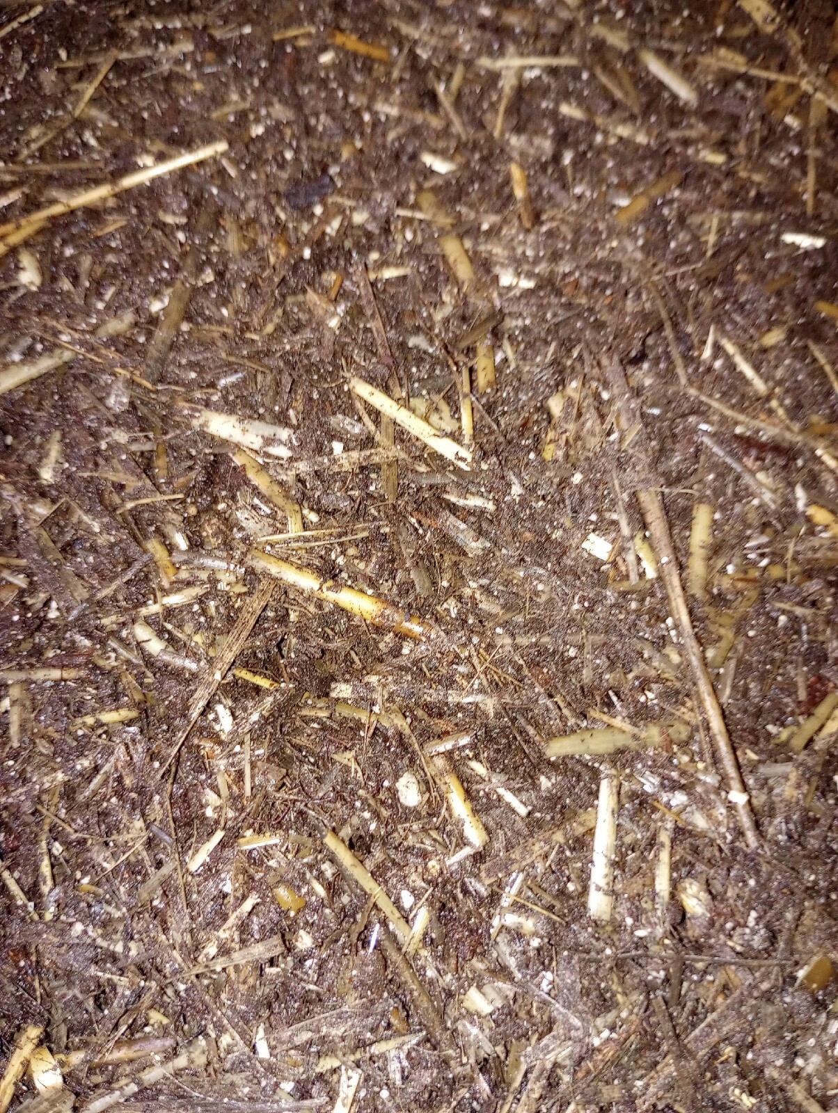 21 lbs.4-5.4lbs bags Horse manure compost Bulk Mushroom Substrate.