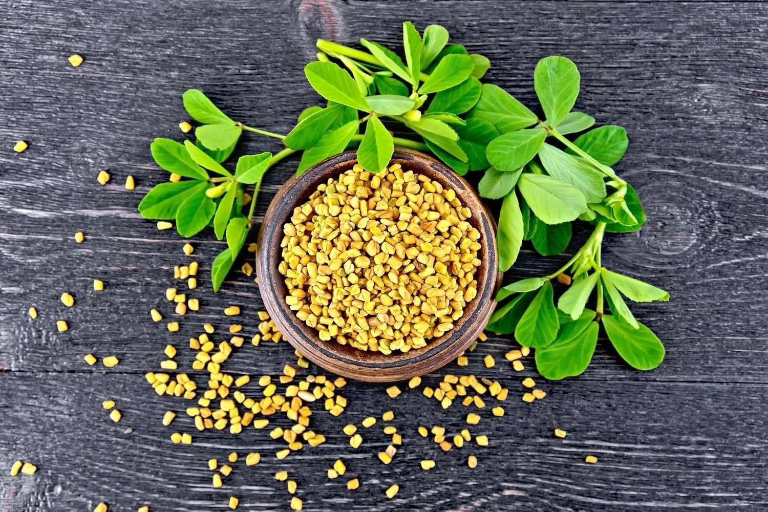 Organic Fenugreek Seeds, 15 lbs – High Germination Rate