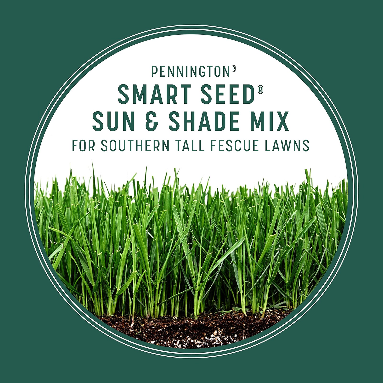 Pennington Smart Seed Sun And Shade Tall Fescue Grass Seed Mix For Southern