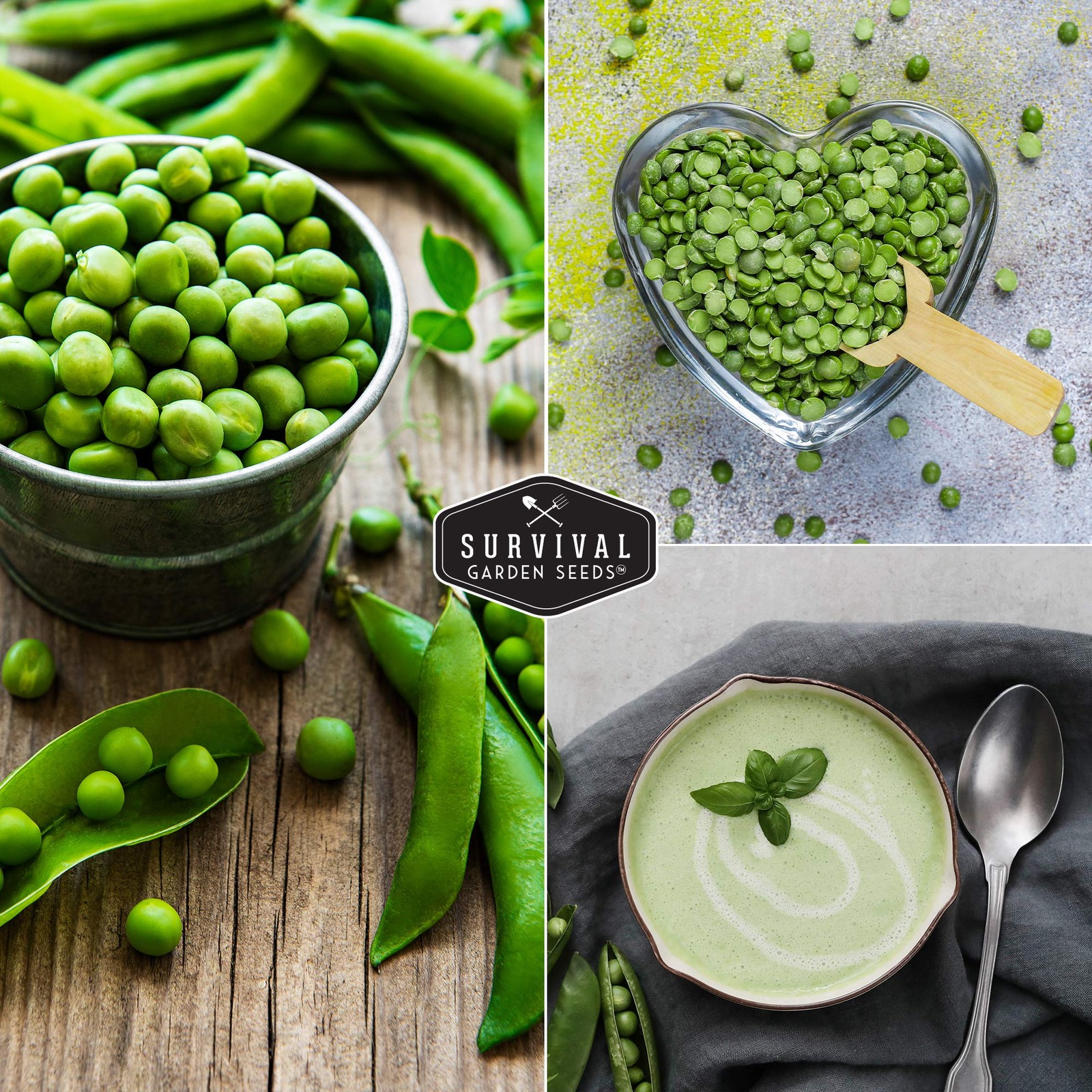 Sugar Daddy Snap Pea Seeds for Planting – Sweet Crisp Peas green