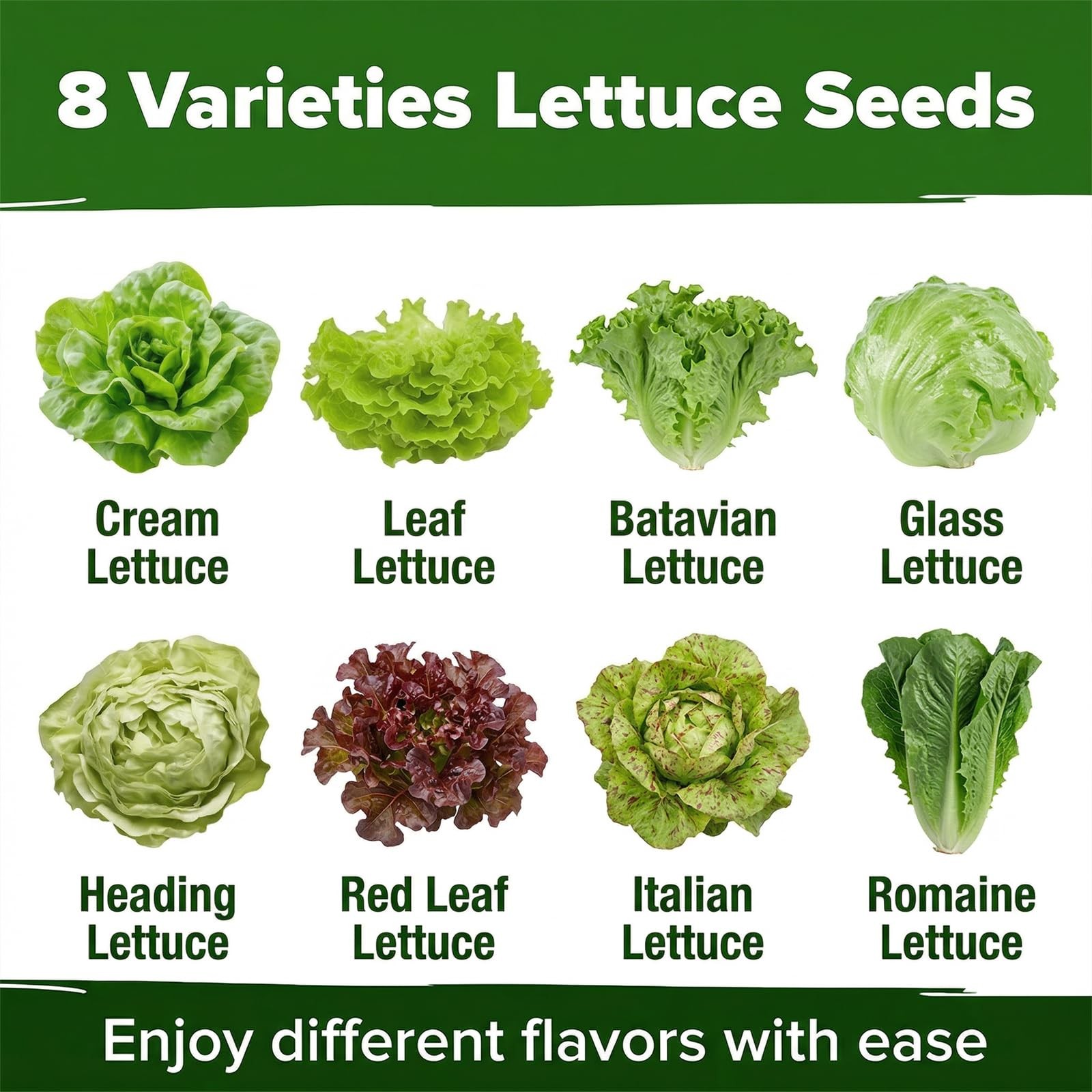 LUOJIBIE Lettuce Seeds for Planting Outdoors, Vegetable Medium Pack, Mix