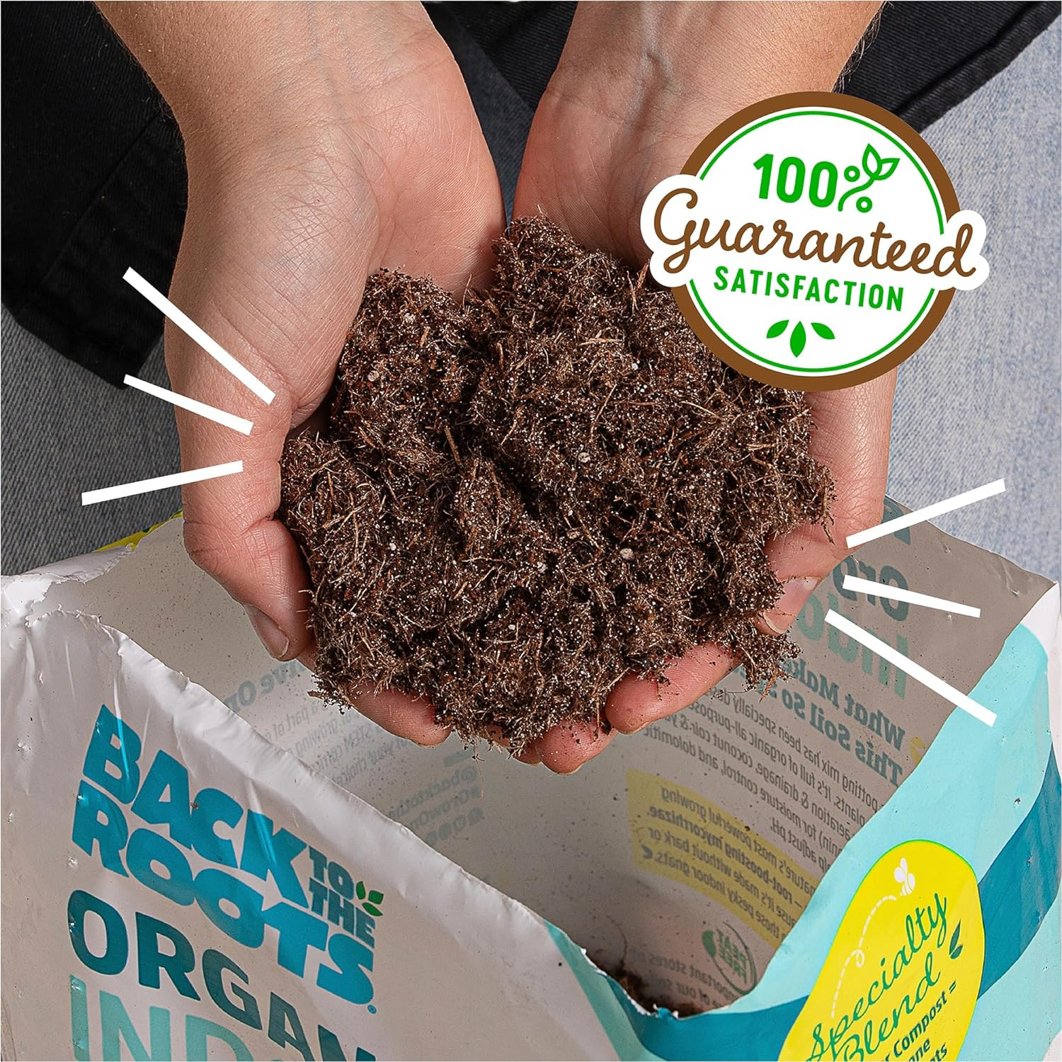 Organic Indoor Potting Mix (6 Quart) for Healthy Houseplants, USA Made