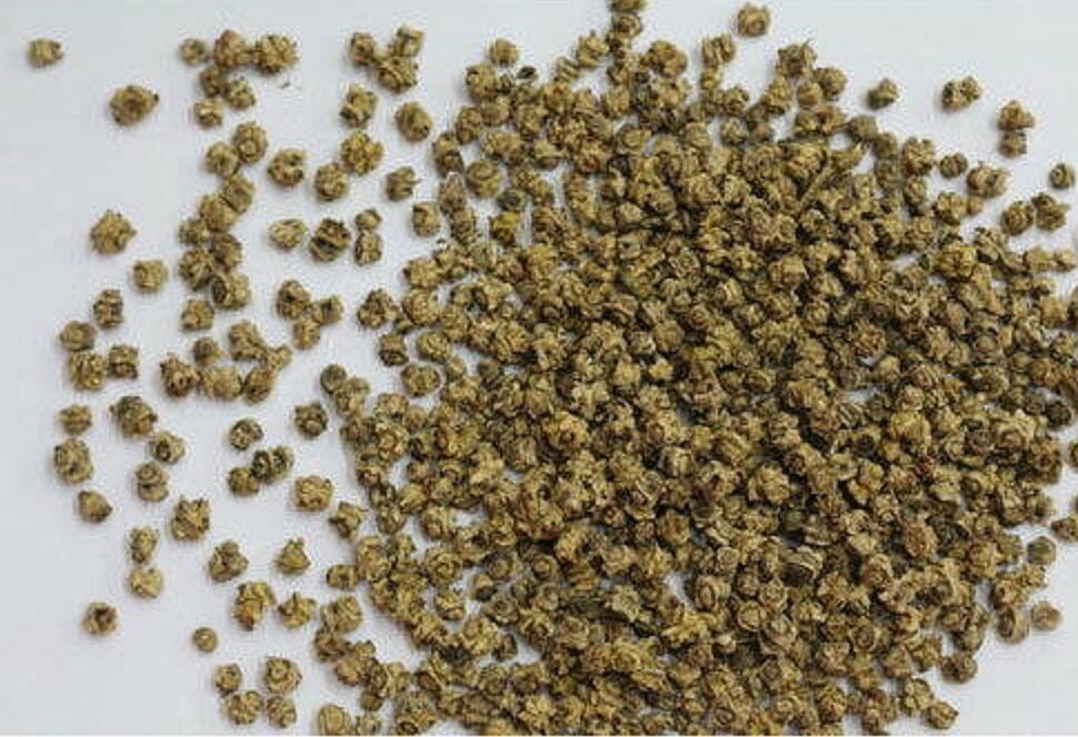 12 oz Beet Seeds for Microgreens, NON GMO