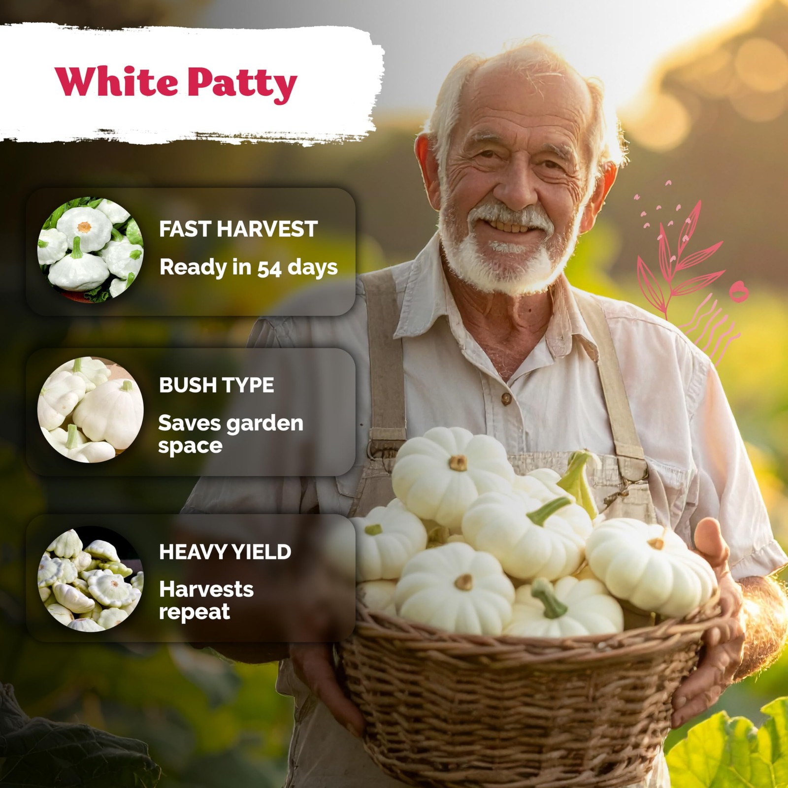 KVITER 50 White Patty Pan Squash Seeds (Cucurbita pepo)