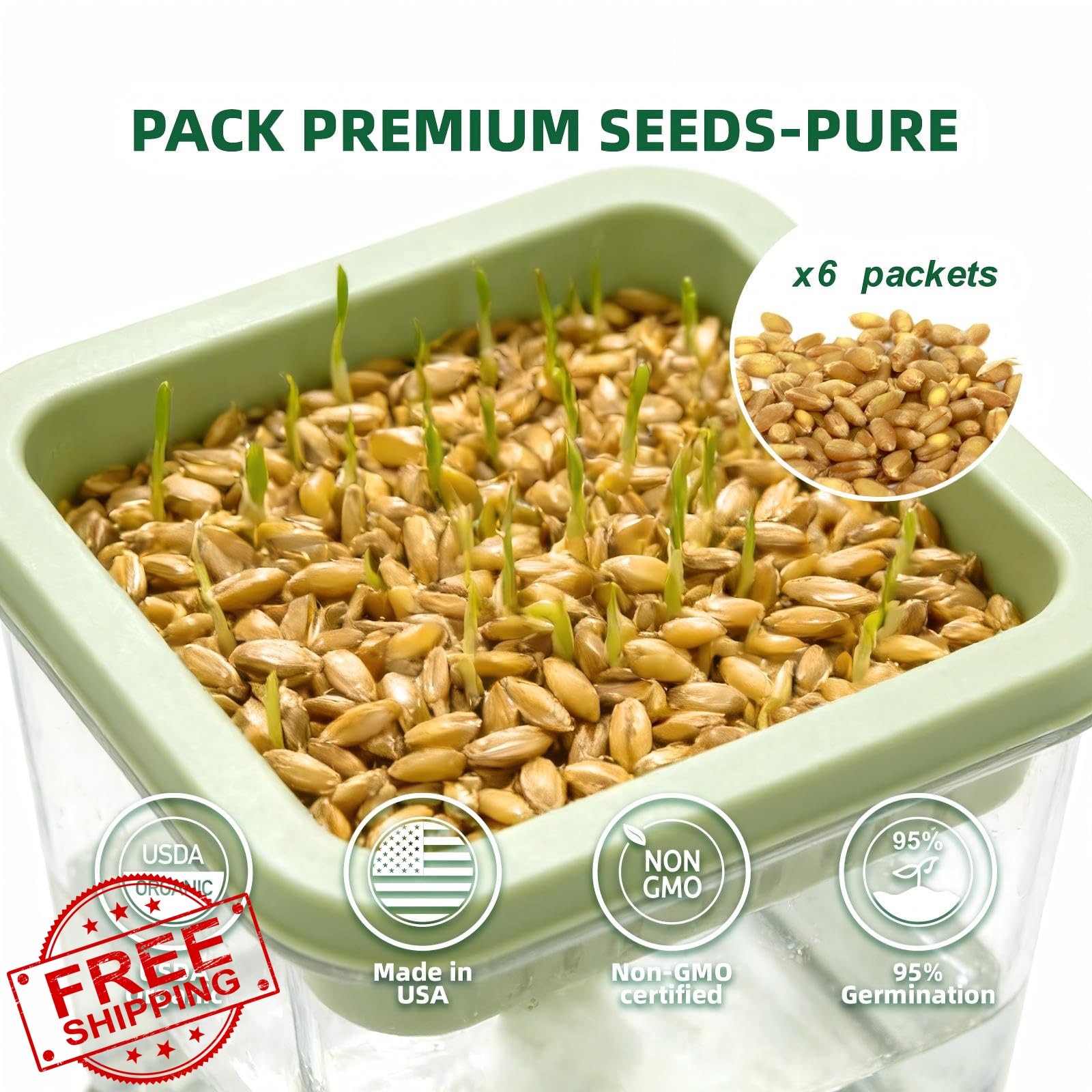 LYKOCLEAN cat grass kit 6pk seeds scissors