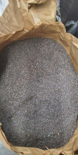 Poppy Seeds UK Bulk 1 lb – Small Pot Summer 2023