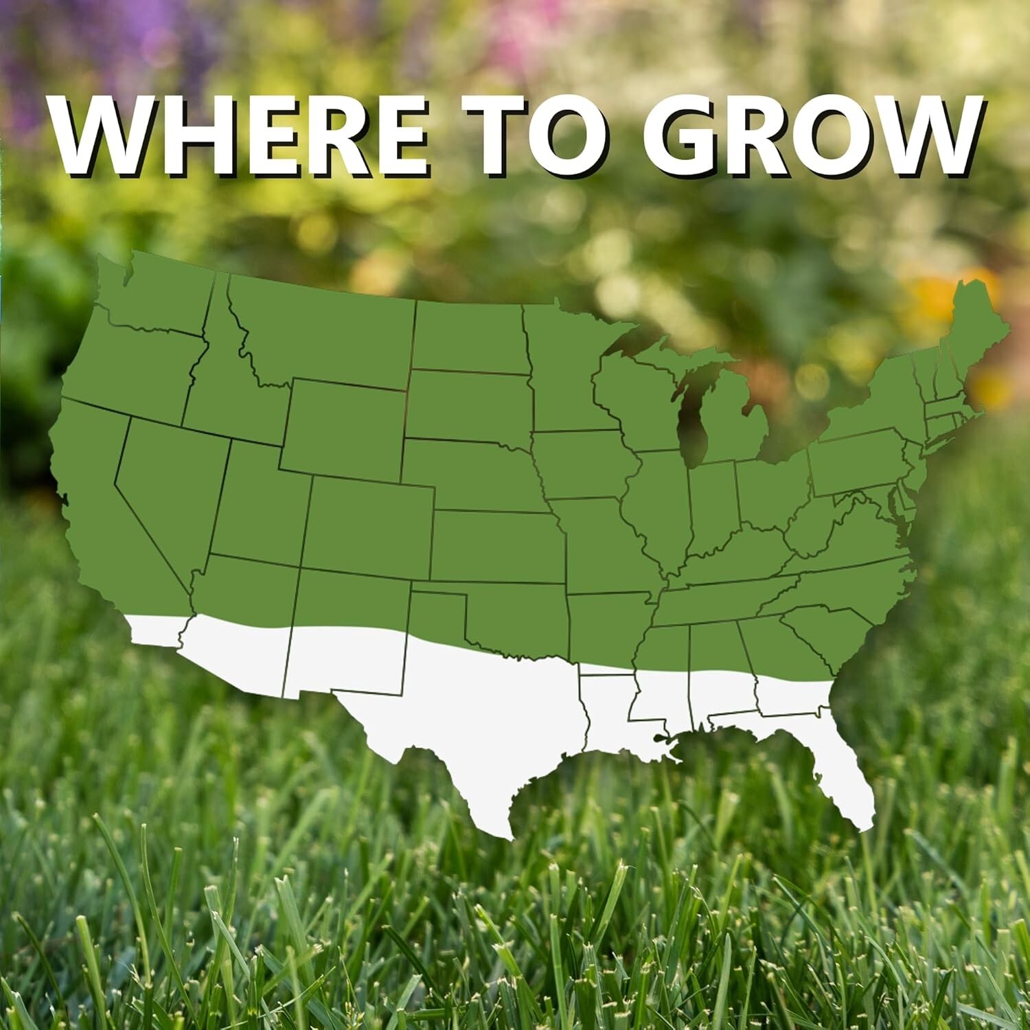 Fast Grow Grass Seed Mix for Sun And Shade Lawn Areas, 3 Pounds