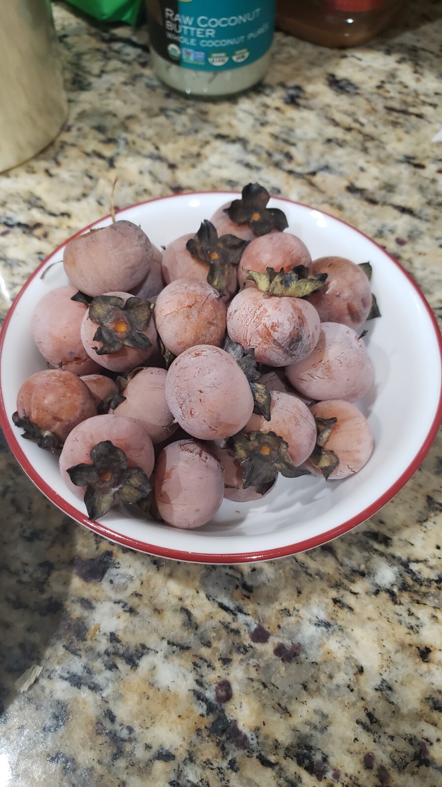 Edible 110 Wild American Persimmons (Diospyros Virginiana) Seeds
