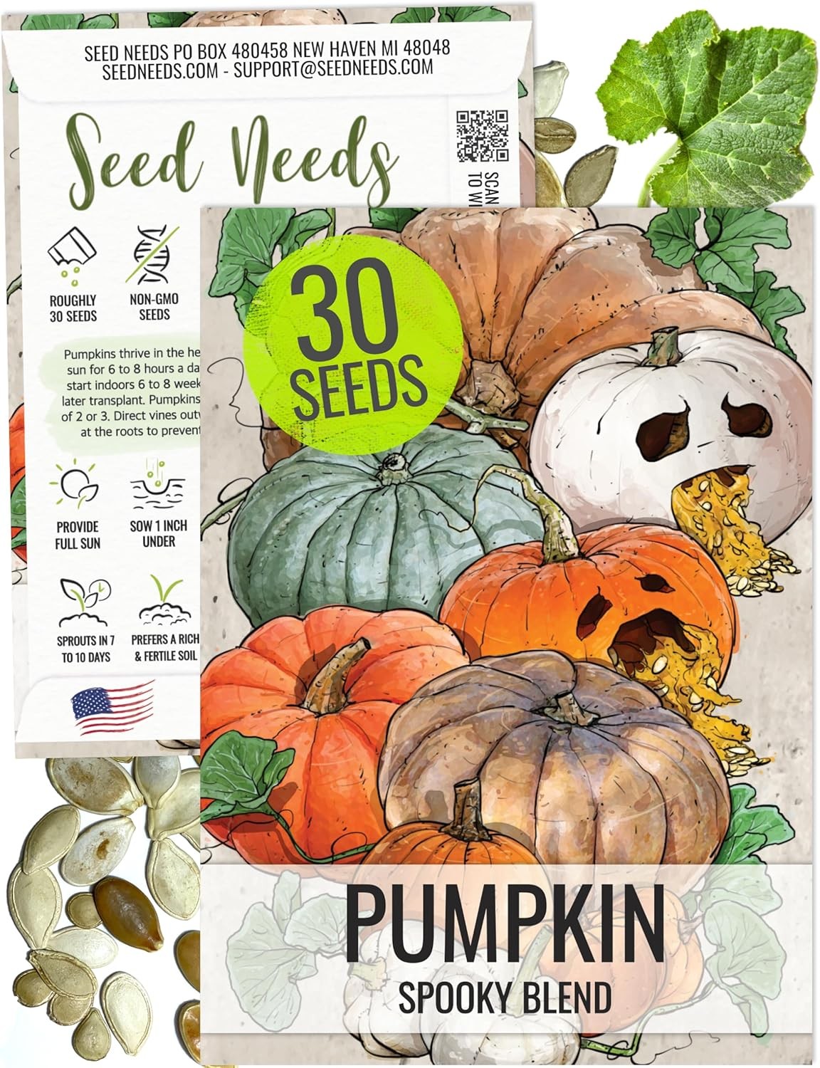 Seed Needs Spooky Blend Pumpkin Seeds – 30 Heirloom for Planting Mixed