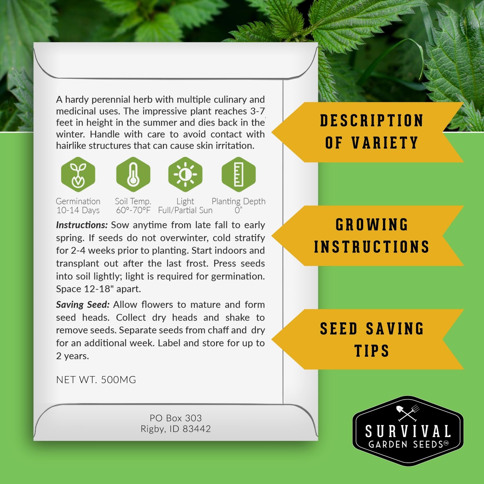 Stinging Nettle Seeds for Planting – Urtica Dioica Medicinal Herb & green