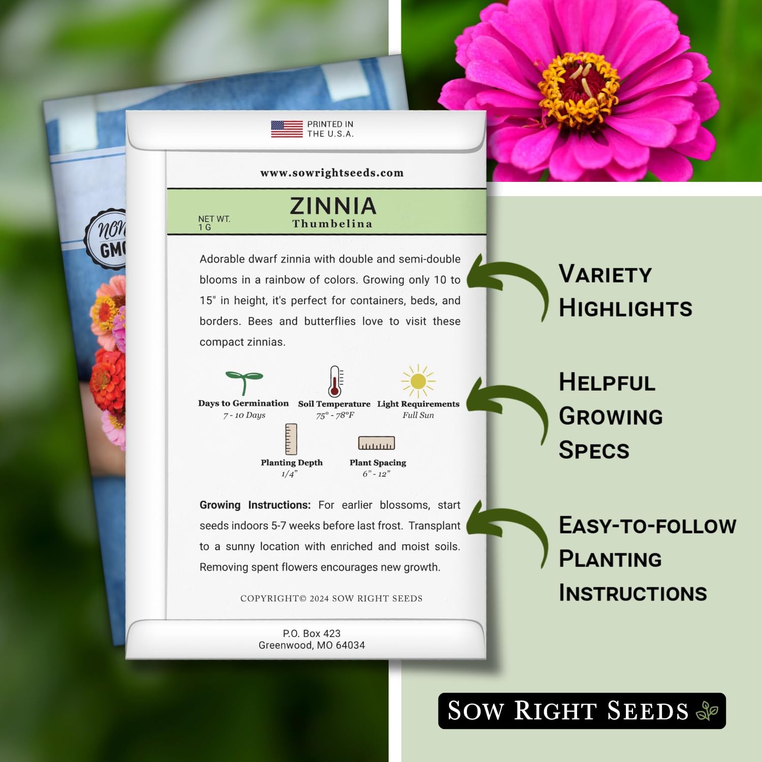 Sow Right Seeds – Thumbelina Zinnia for Planting – Beautiful to Mix