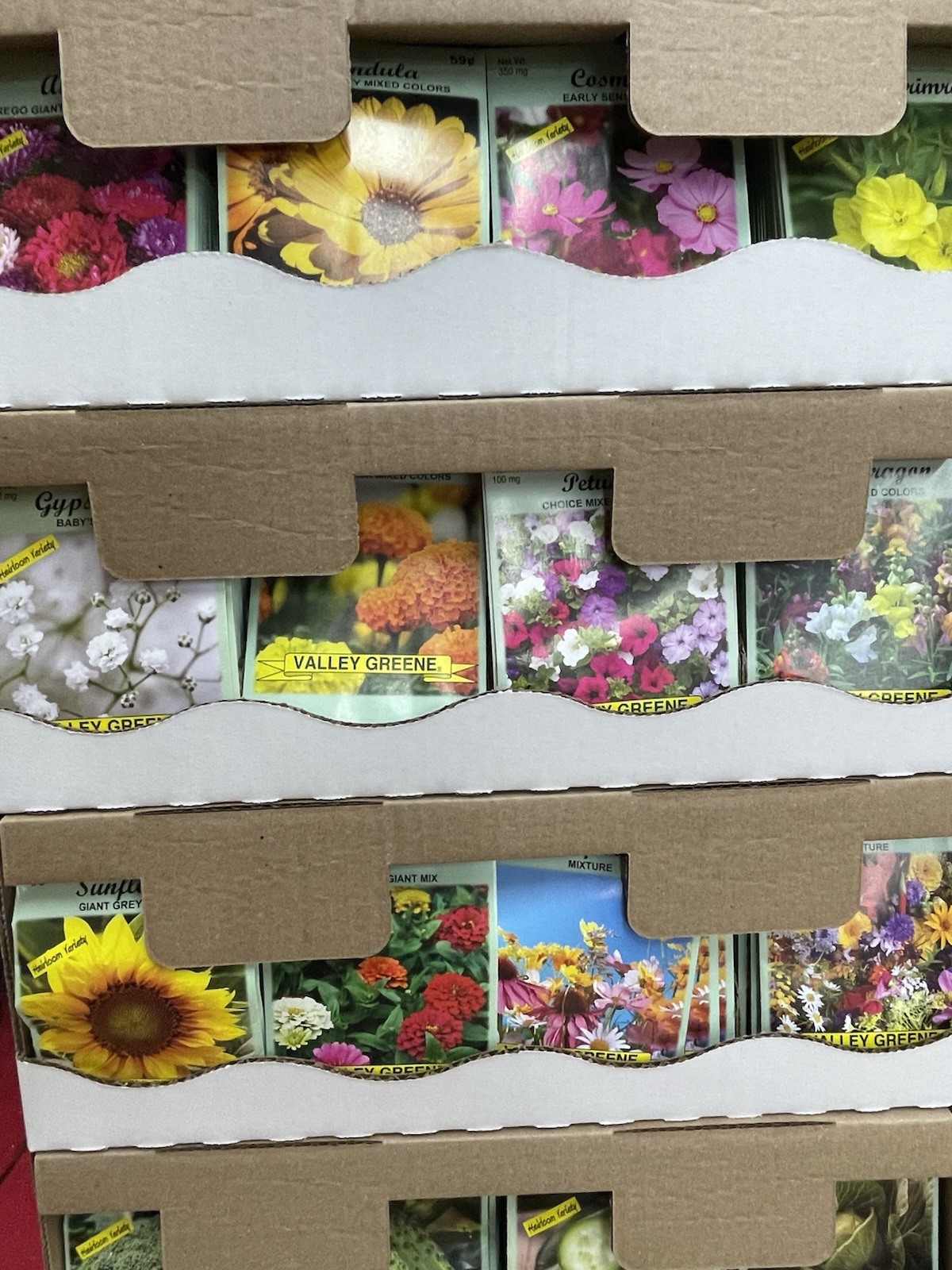 1200 Floral Seed Packets In Floor Display Retail Shipper
