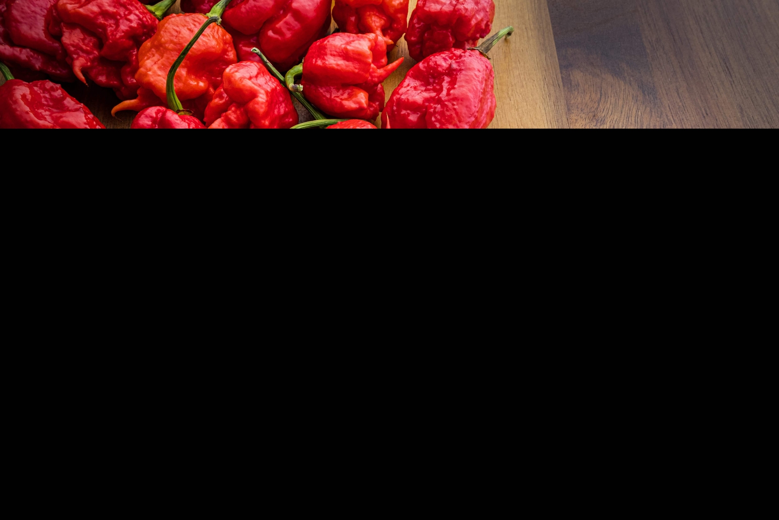 10 Red CAROLINA REAPER PEPPER World’s Hottest Capsicum Chinense Hot Chili Seeds