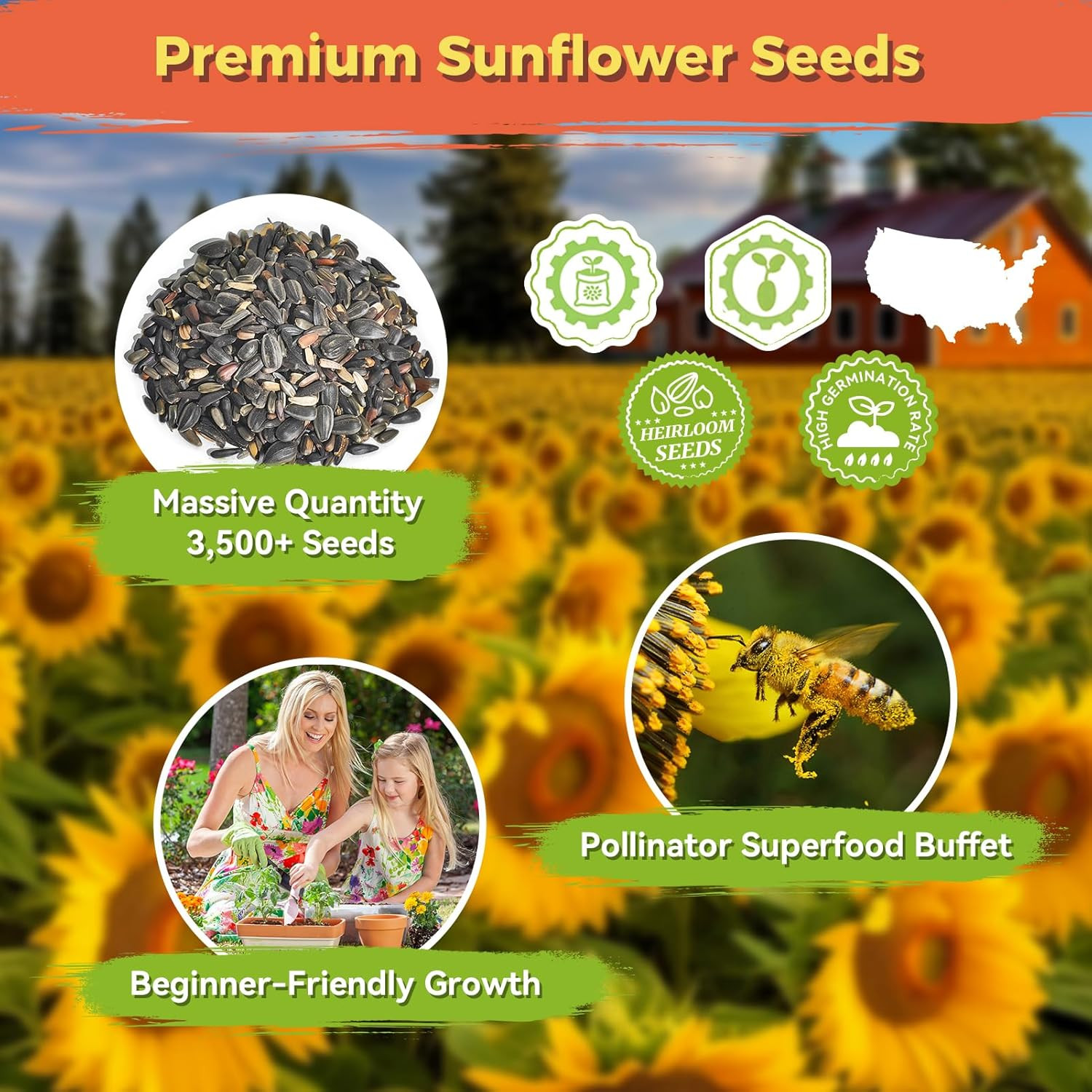 Sunflower Seeds for Planting | Giant Mammoth Sunflower Bulk Packet 3000