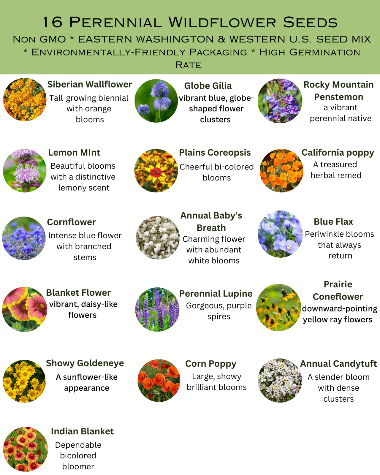 1/4 Pound Eastern Washington Bulk Wildflower Seed Mix 1/4lb Covers 800sq-ft