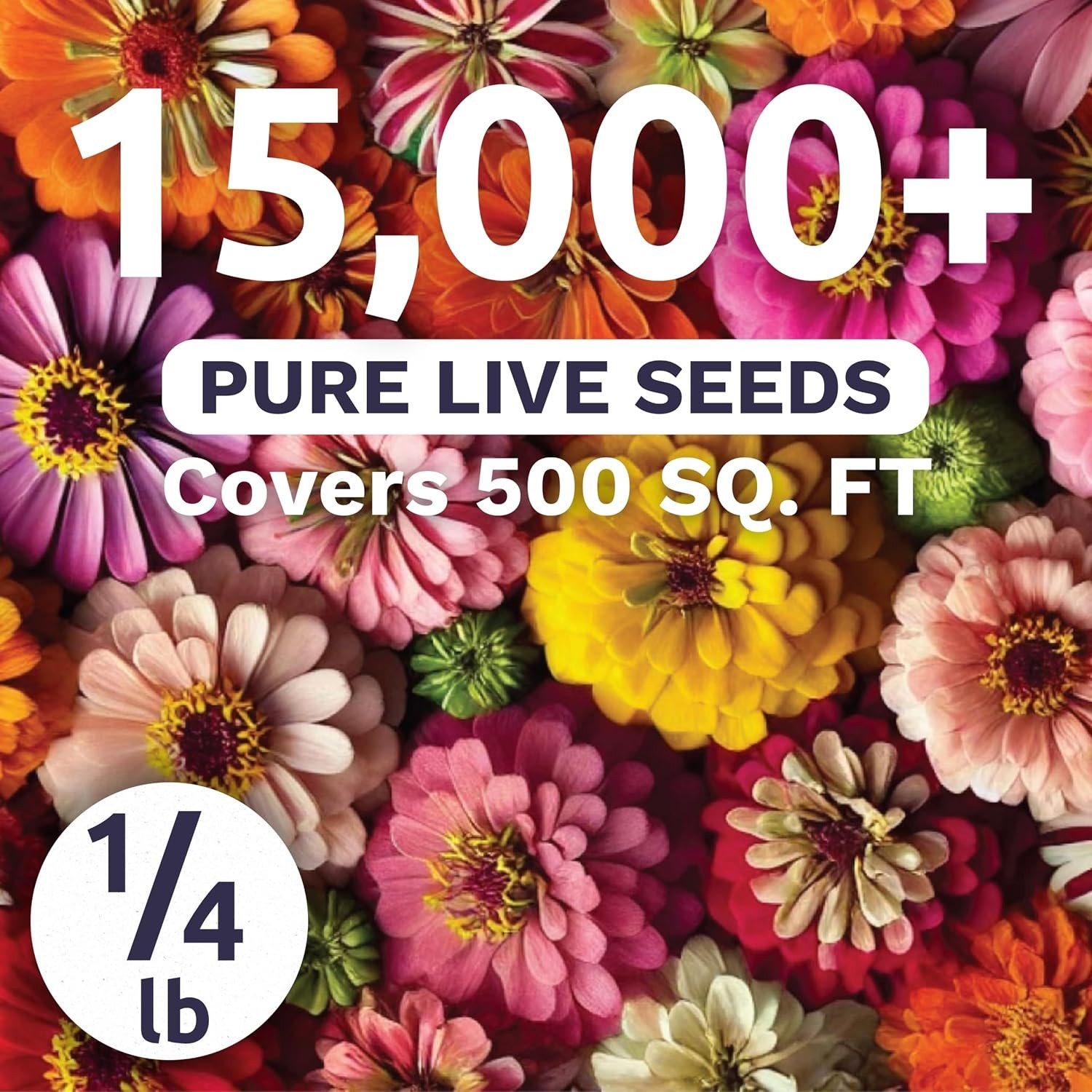 Zinnia Crazy Blend – Bulk 1/4 Pound Pouch – 15000 Flower Seeds for Planting