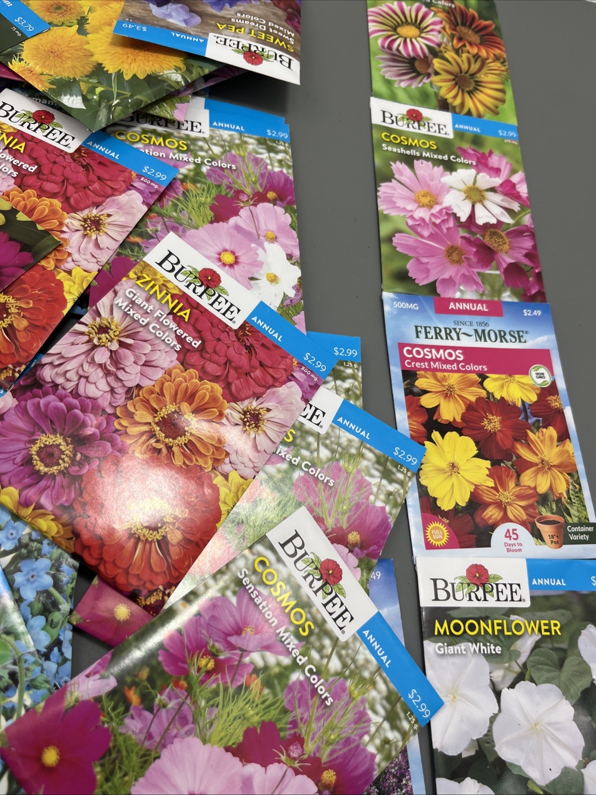 100 Flowers annual perennial Plant Seeds (Assorted Lot ) sell by 11/26 Garden