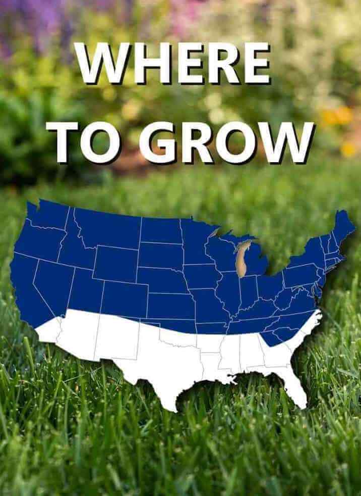 Jonathan Green Grass Seed & Fertilizer Bundle for Acidic Soil – 15,000 sq ft