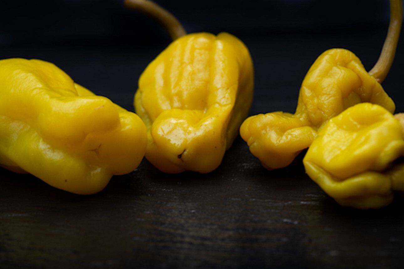 10 Heirloom Pepperoncini Seeds – Greek Variety