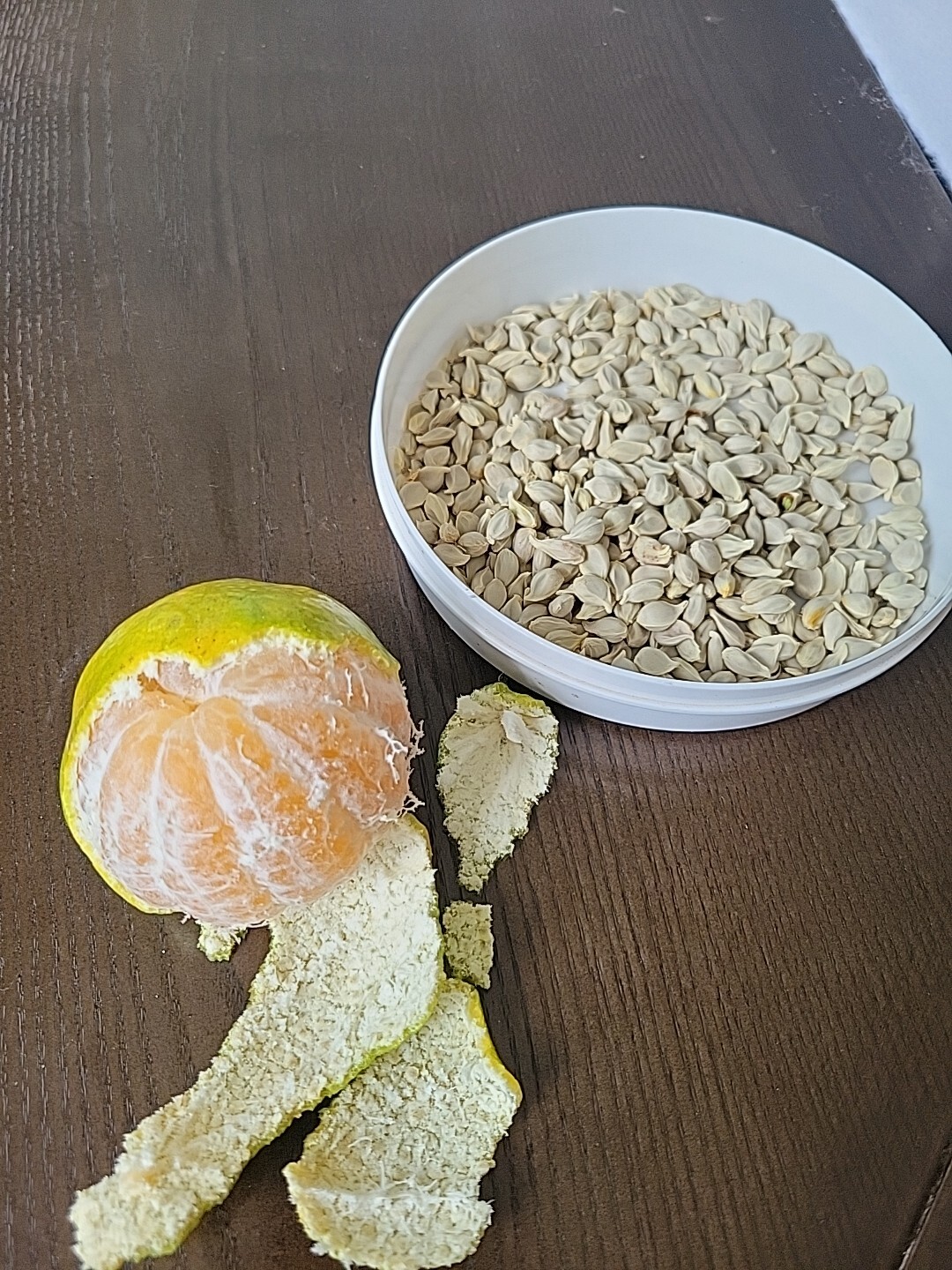100 Fresh Mandarin Orange Seeds Very Sweet And Juice From Puerto Rico 🇵🇷