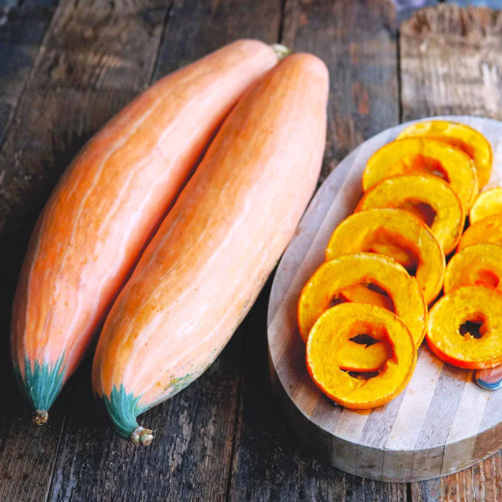 North Georgia Candy Roaster Seeds | Pink Banana Pumpkin Winter Squash Seed 2025