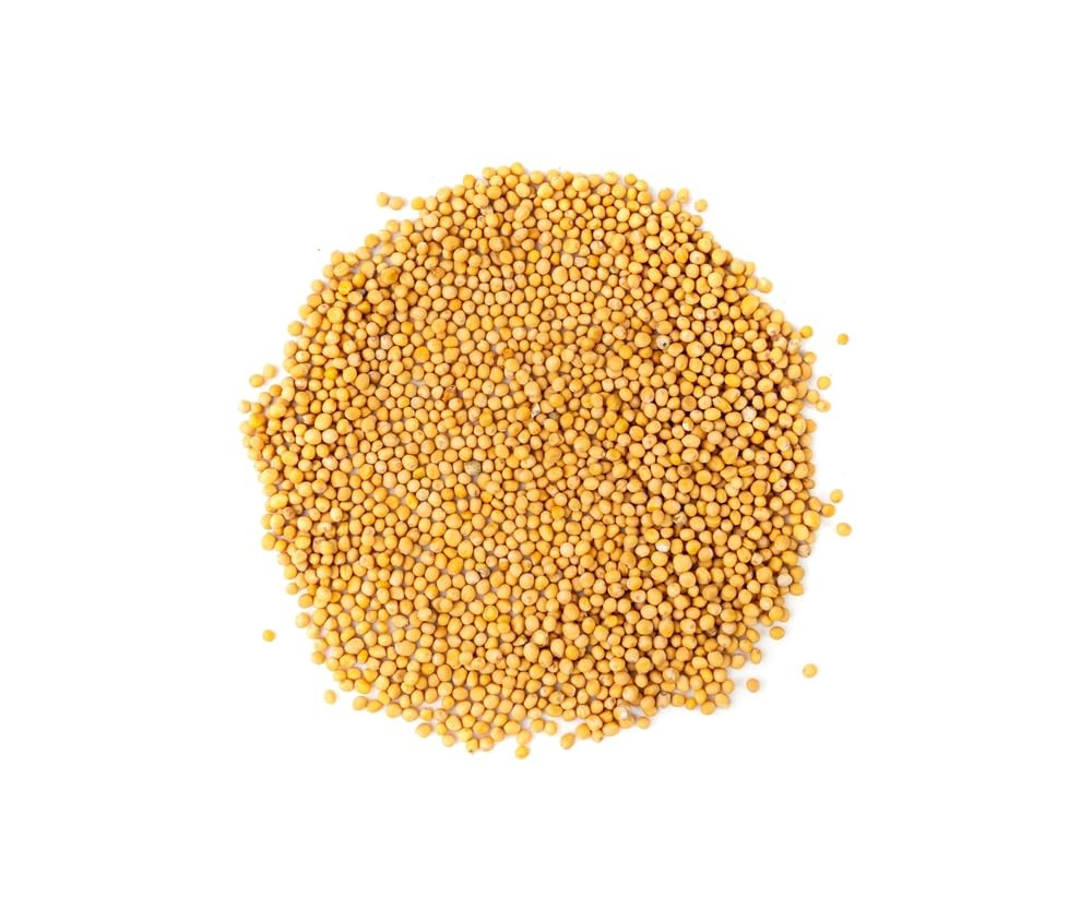 Aiva Yellow Mustard Seeds (5 LB) Bulk – Pungent & Aromatic, Whole Spice for Cook