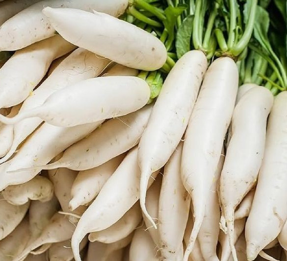Daikon Radish Seeds Japanese Minowase Daikon 100+ Seeds BUY 4 GET FREE SHIPPING!