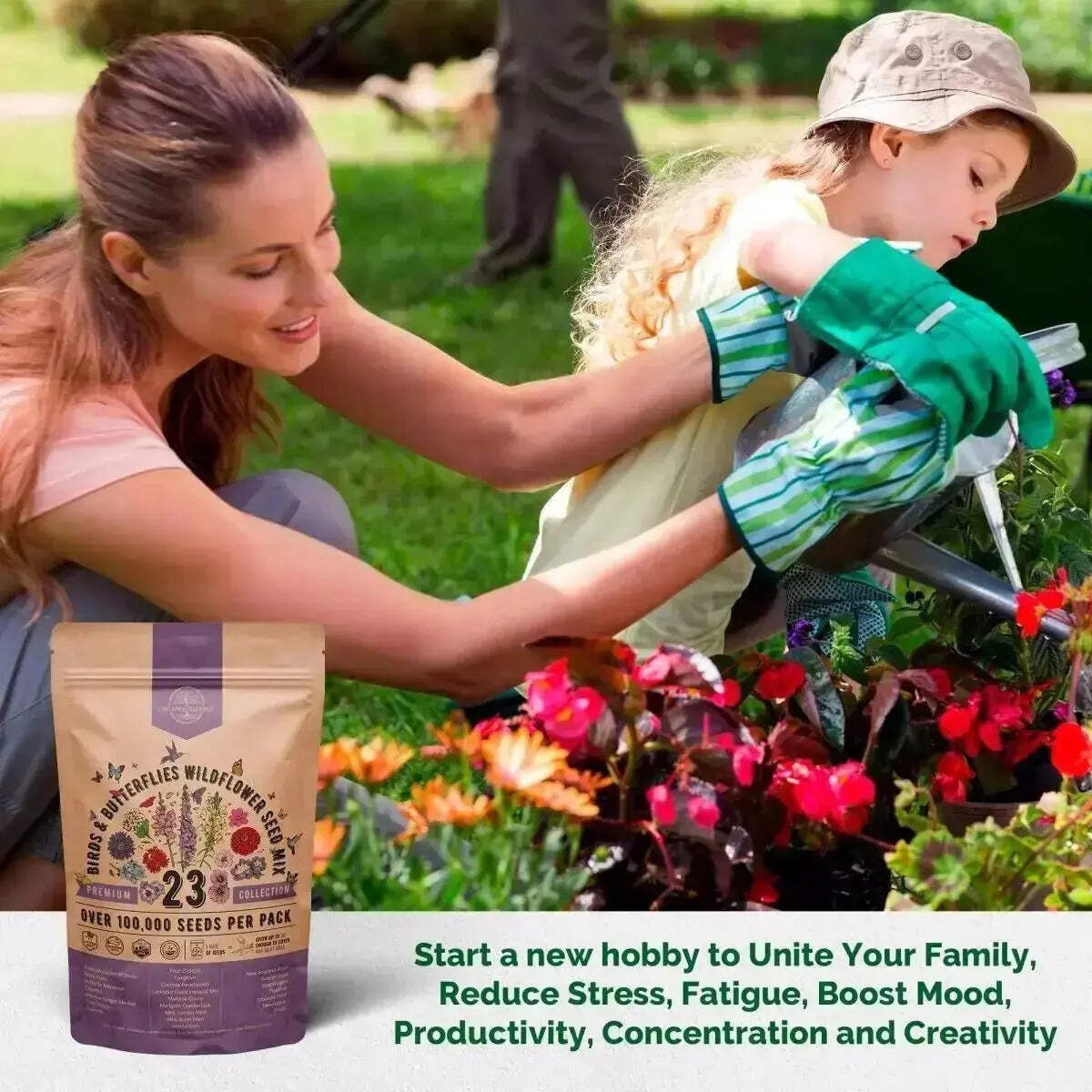 23 Birds & Butterflies Wildflower Seeds Mix
