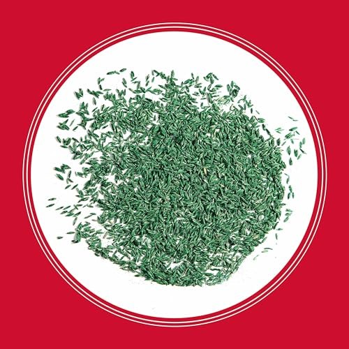 Pennington Rebels Tall Fescue Seed 40 lb Covers 10000 sq ft Drought Tolerant