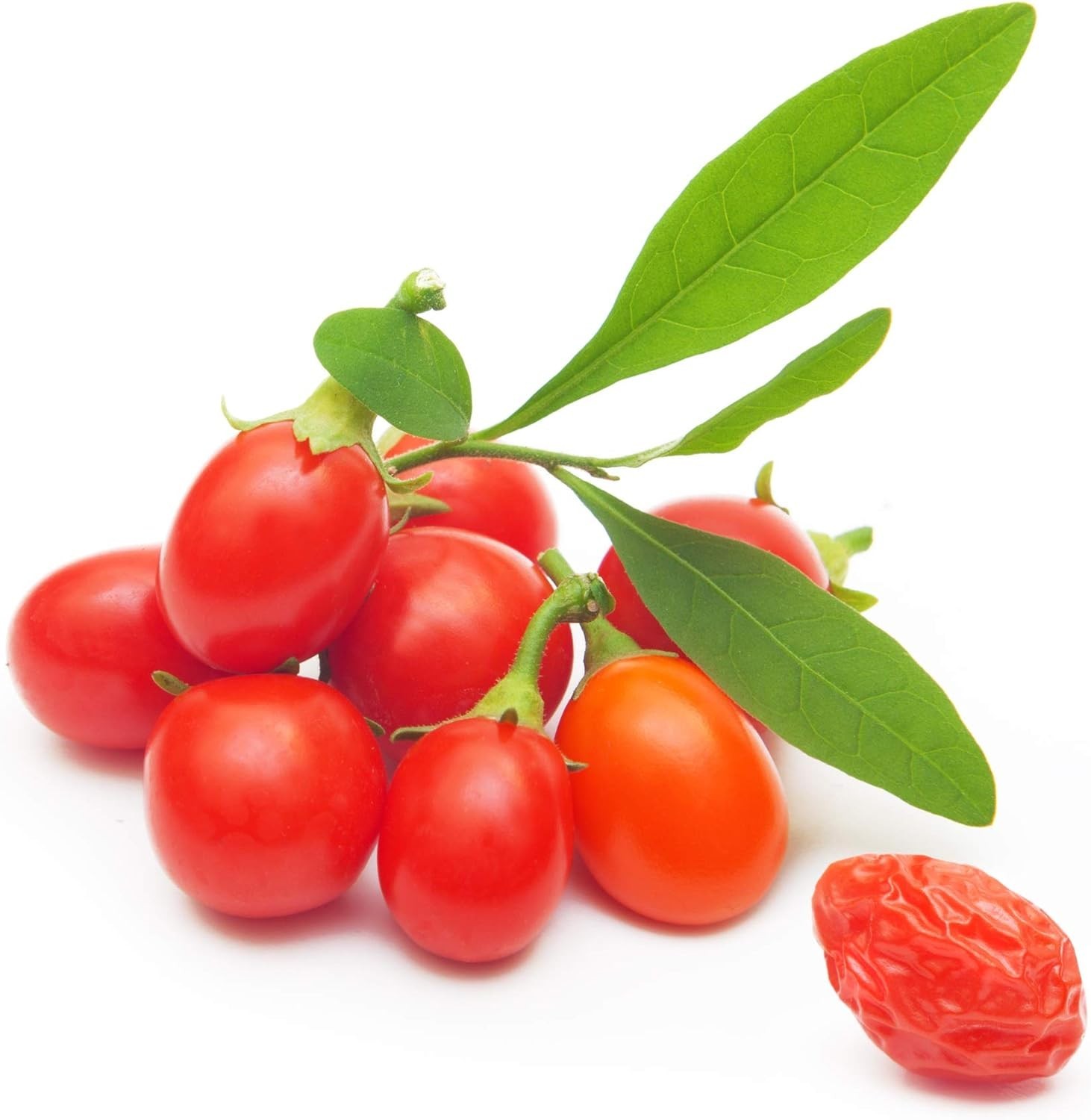 100 Open-Pollinated Goji Berry Seeds – Thriving Heirloom Shrubs for All Soils
