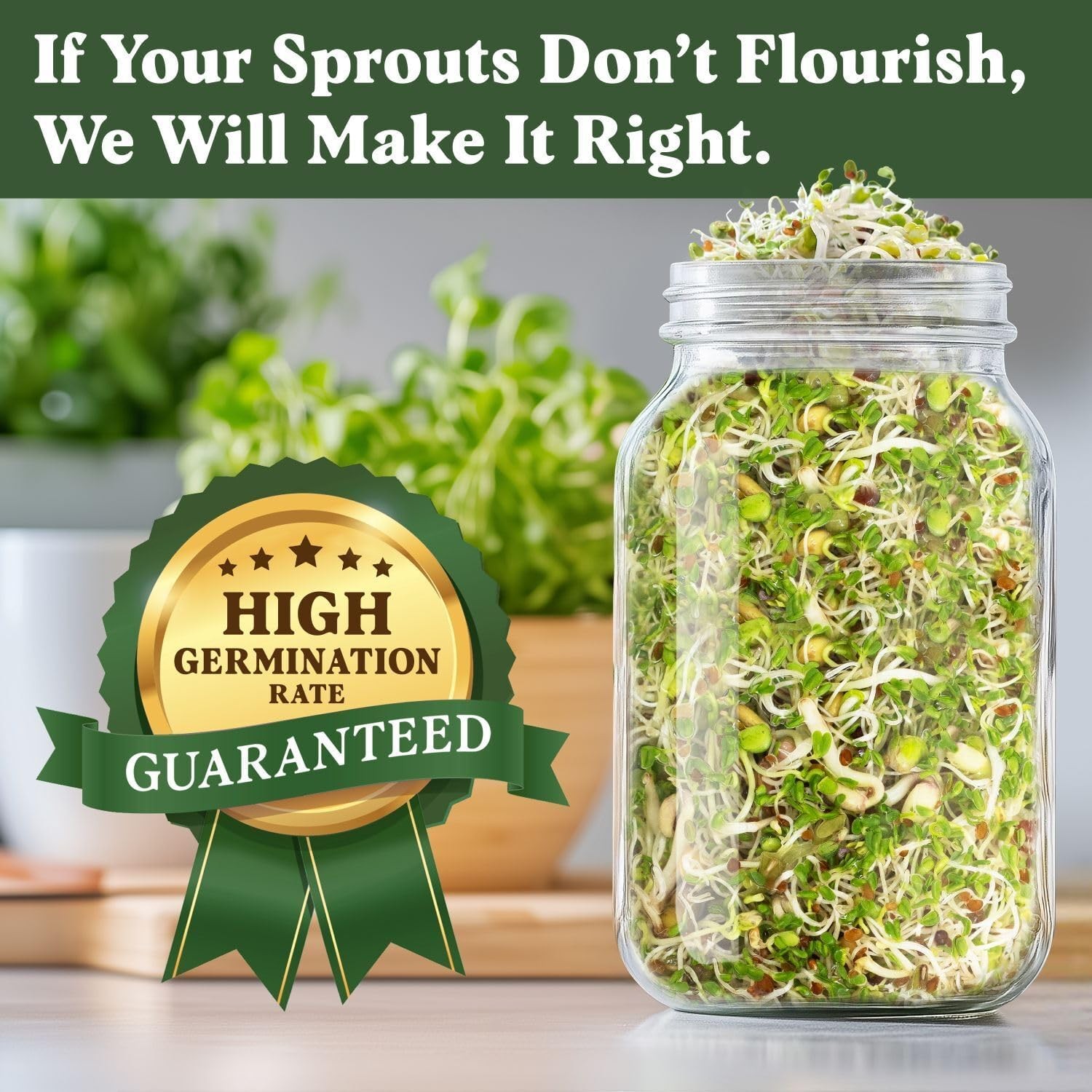 Organic Non-GMO Sprouting Seeds for Fresh Salad Mix – USA Grown Microgreens