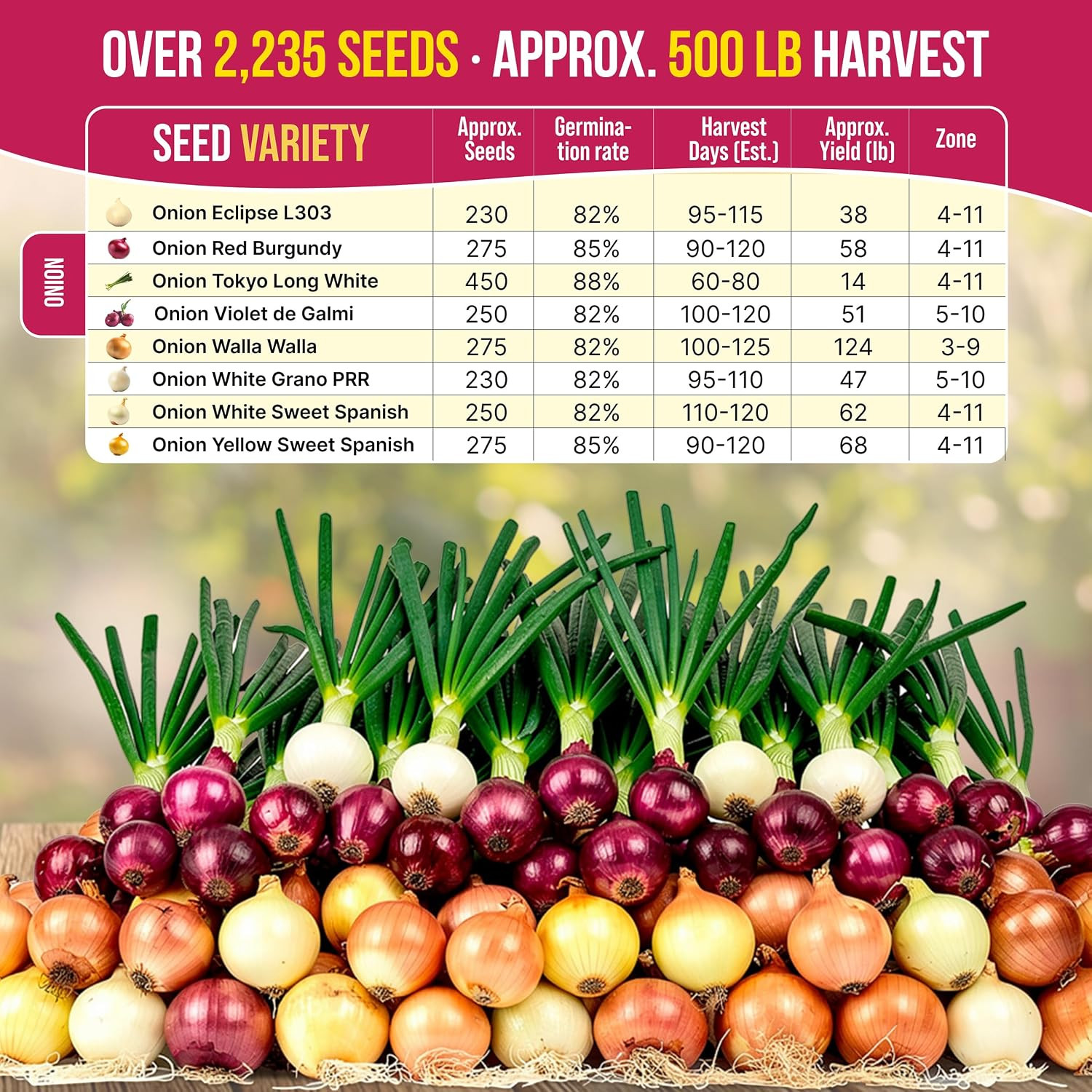 8 Onion Seeds Variety Pack Green, Red, White, Yellow
