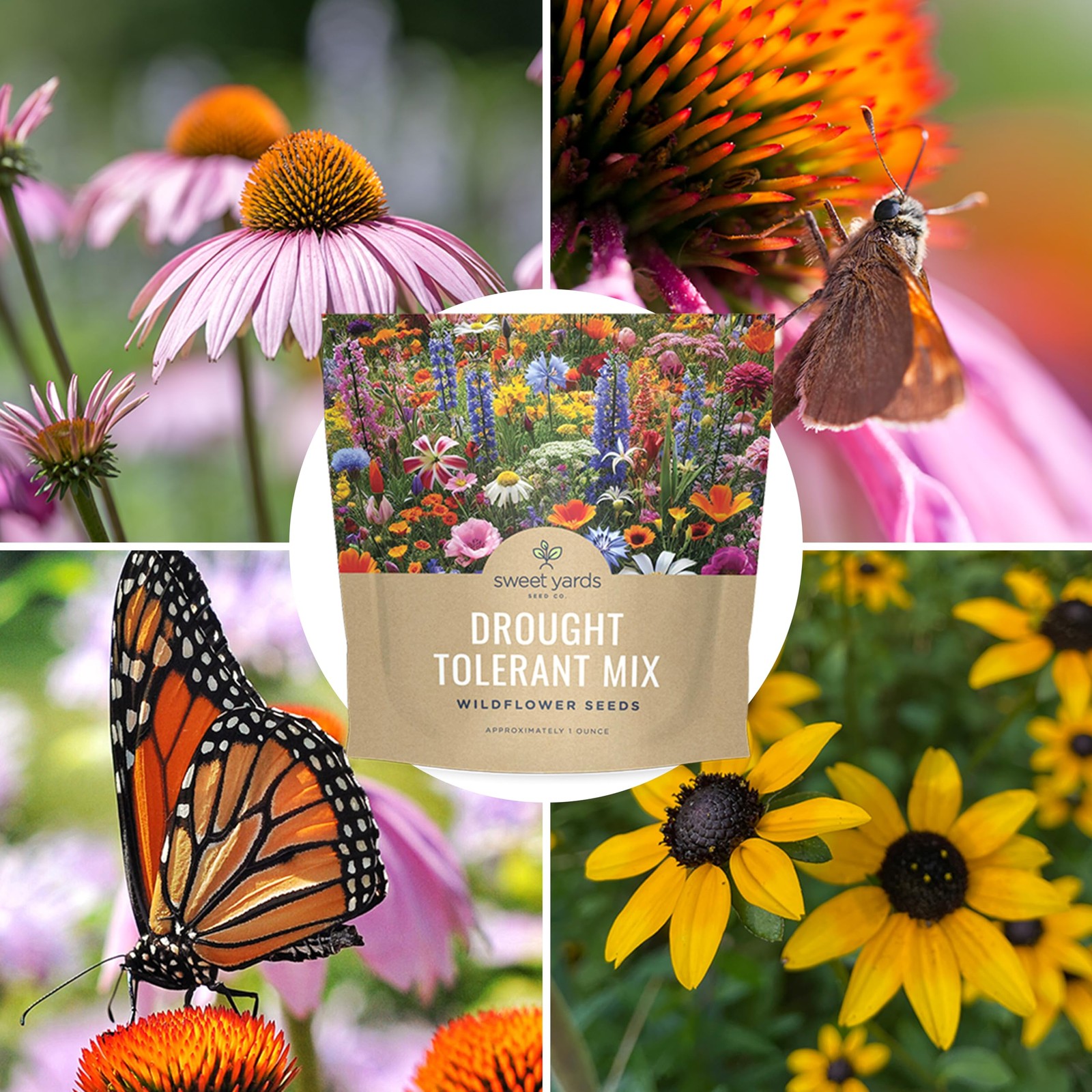 Drought Tolerant Wildflowers Mix – Extra Large Packet – Over 7,500 Open Polli…