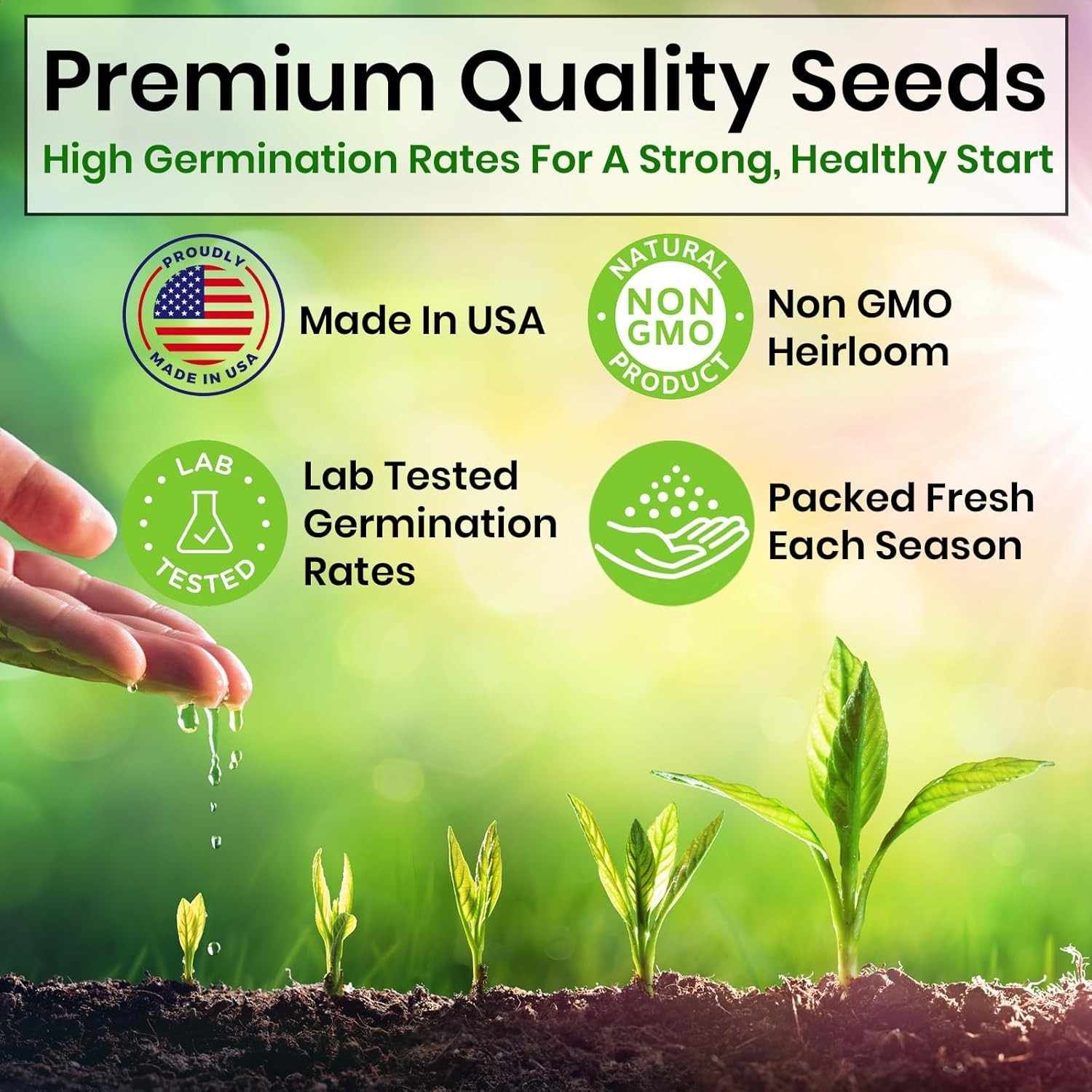 5 Variety Herb Seeds for Indoor & Outdoor Gardens – Gift of Flavor