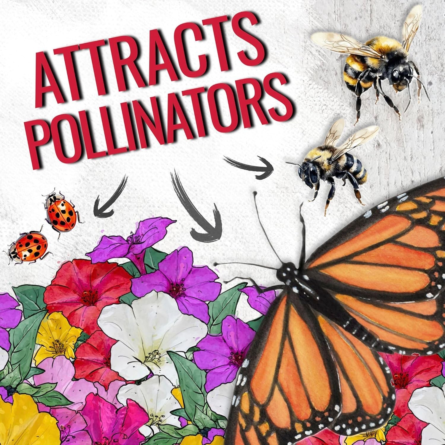 Attract Pollinators with 300+ Heirloom Four O’ Clock Flower Seeds – Mixed Colors